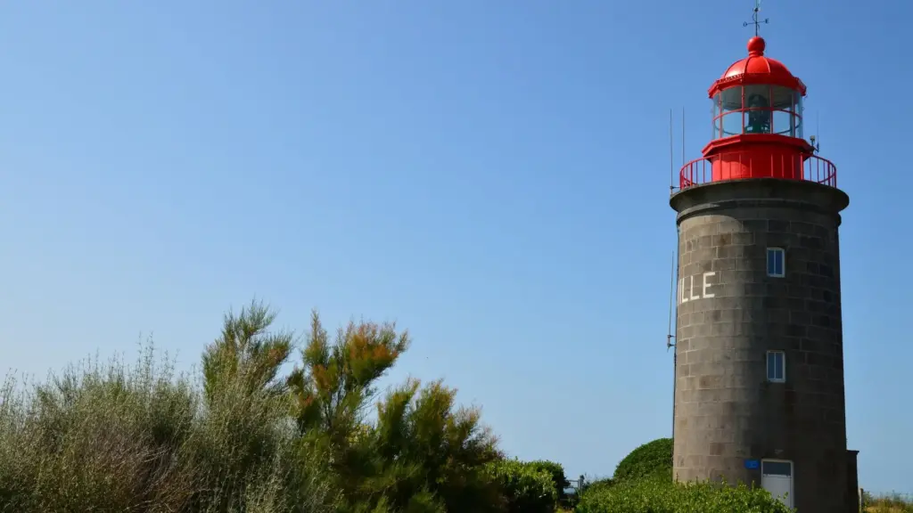 waarom bordspelcafes steeds populairder worden bij jongeren
